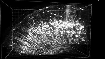 Tissue Clearing Webinar