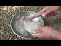 Indonesian food: IKAN BAKAR (Grilled fish)