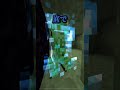 見つけた⭐️【マインクラフト】