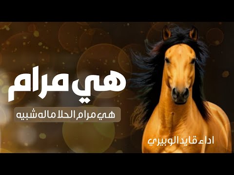 شيلة هي مرام الحلا ماله شبيه اداء قايد الوبيري 2025 لاطلعت للمنصه باسم مرام 