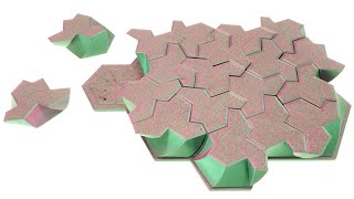 Einstein Tiling Puzzle - What is the one stone that rules them all?