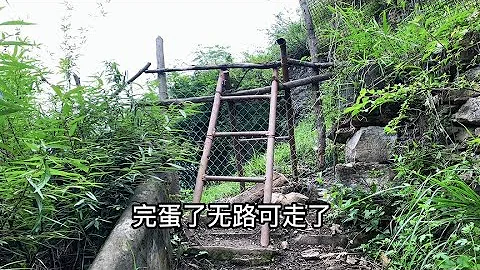 攀爬凉山悬崖天梯村，虽询问过当地人上山路，但还在半山腰迷路了 - 天天要闻