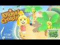 Ecco Svelata La Mia Isola Animal Crossing New Horizons