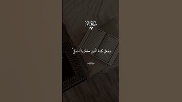 لا تحزن إن الله معنا 💚#قران #احمد_العجمي  #quran #قران_كريم #تلاوة_خاشعة #alaa_mustafa_1