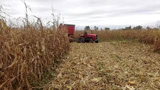 Branje Kukuruza Sa Imt 549