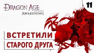 DRAGON AGE ORIGINS (ПРОБУЖДЕНИЕ) ПРОХОЖДЕНИЕ (#11) - ВСТРЕТИЛИ СТАРОГО ДРУГА