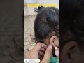 kids earrings #customized #jewellery #trending #viral #youtubeshorts #shortsfeed#ytshorts