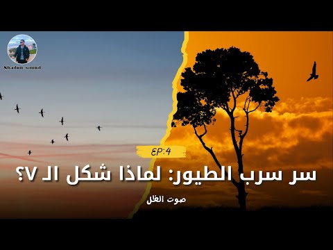 10 دقائق تفهمك سر طيران الطيور وتكشف طريقة قيادة نفسك