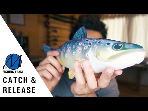 Video: Catch & Release: come sganciare correttamente il pesce