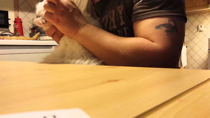 Catnip in the medicine to my cat...?