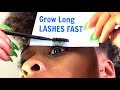 HOW to Grow lashes FAST | BEAUTY HACK