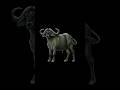 #planetzoo African Buffalo Complete Care Guide #gaming2026