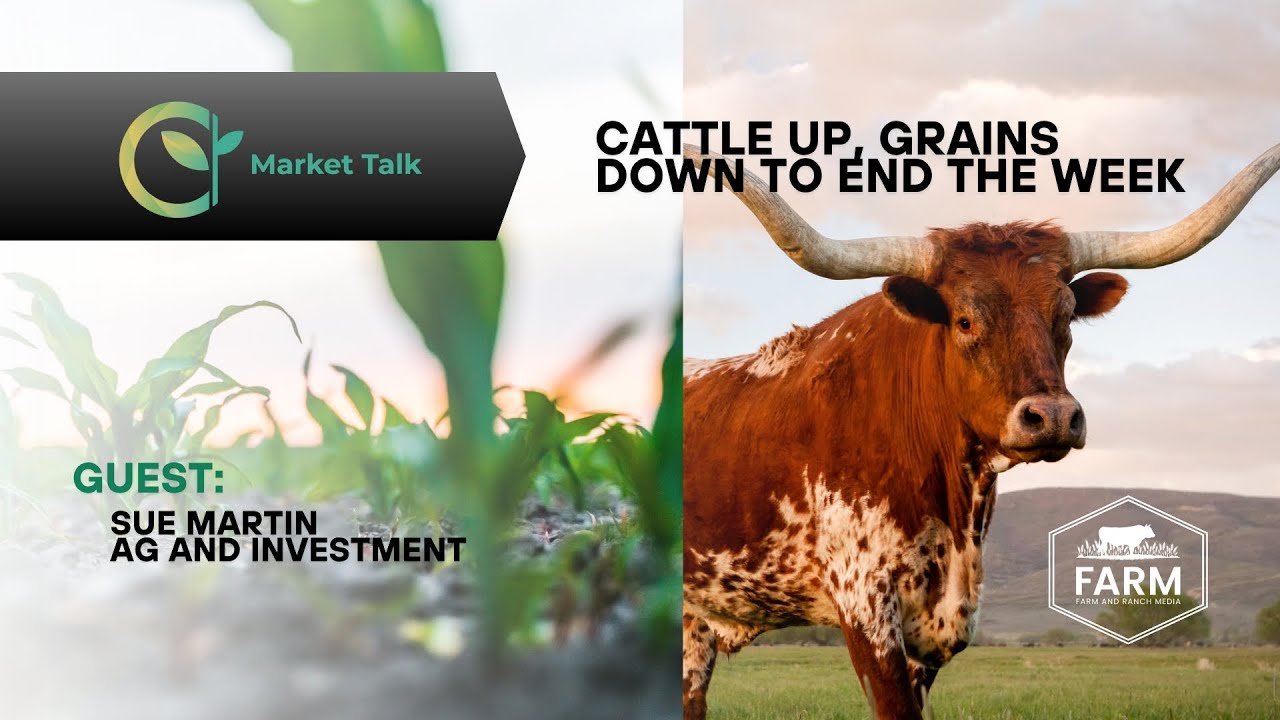 Cattle Up, Grains Down to End the Week Cattle Up, Grains Down to End the Week