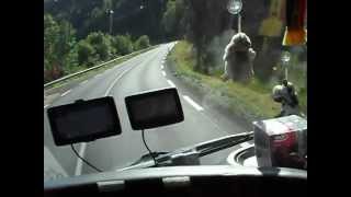 Sofer Camion Suceveanu Neculae Elvetia