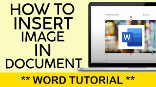 How to Insert Image to Microsoft Word Document Online 2024