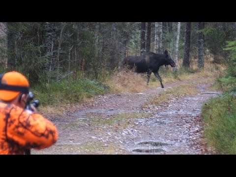 Video: Pyöräilemällä Skotlanti, tiellä ja pois