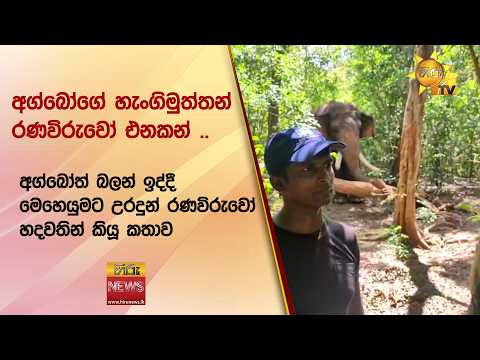 අග්බෝත් බලන් ඉද්දී මෙහෙයුමට උරදුන් රණවිරුවෝ හදවතින් කියූ කතාව - Hiru News