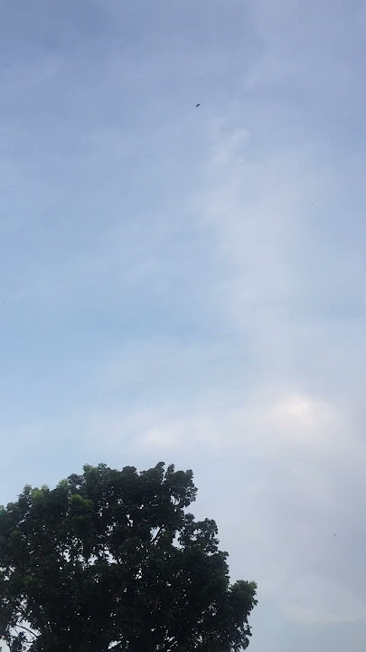 Stock Footage | Background Video Tiktok Angin Kencang #shorts