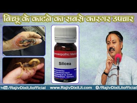Treatment of Scorpion Bite Cheap And Best By Rajiv Dixit Ji - YouTube