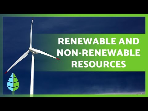 RENEWABLE AND NON-RENEWABLE RESOURCES ☀️🌲 Differences and Examples!