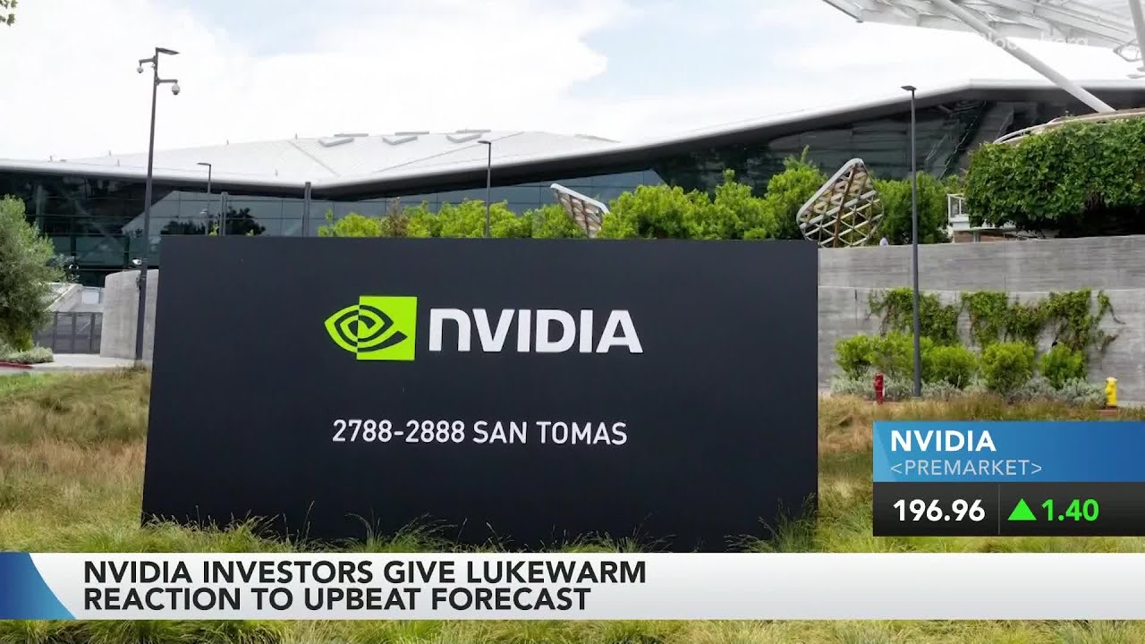 Nvidia’s Upbeat Sales Outlook Gets Bearish Investor Response