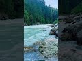 Ghar Kab awoge | diljit dosangh | border 2 | sunny deol | arijit Singh #arijitsingh #shorts #love #f