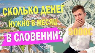 СКОЛЬКО ДЕНЕГ НУЖНО НА 1 МЕСЯЦ ЖИЗНИ В СЛОВЕНИИ. ТРАТЫ НА СЕМЬЮ 2023