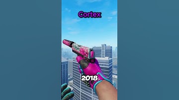 What Your USP-S Skin Says About You 🔫