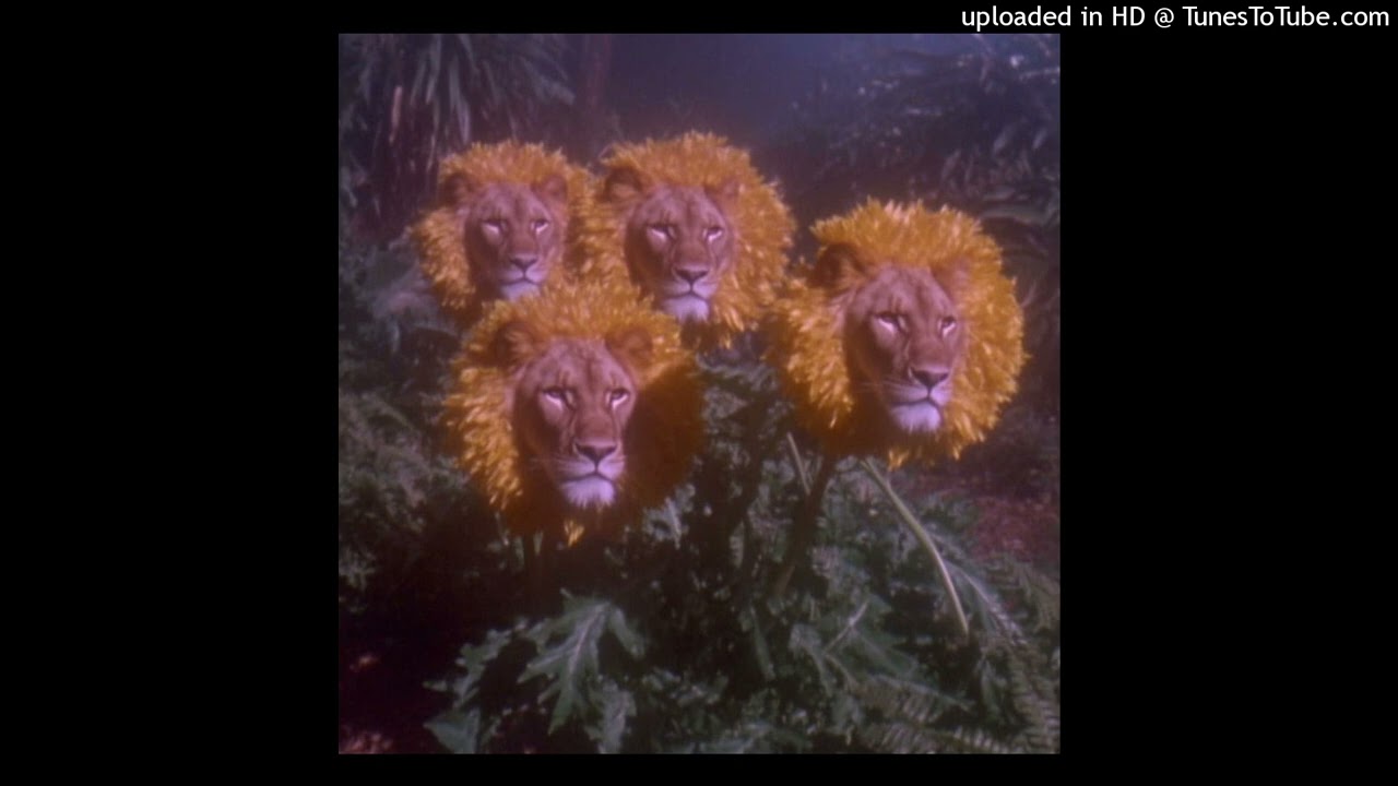 emptiness - slowdive + whirr + wisp + glare + shoegaze type beat