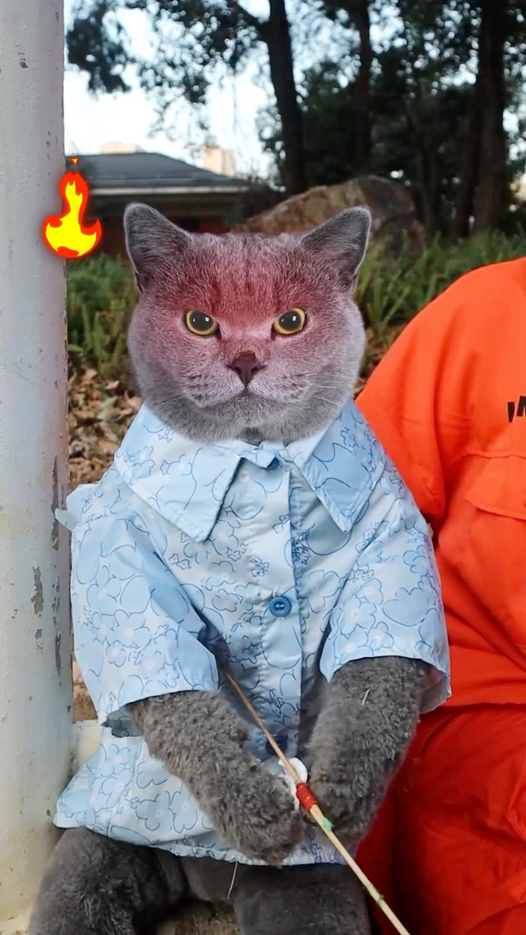 Don’t Worry!? My Genius Candy Hack Will Shock You?☕ #catvideos #catmemes #trending