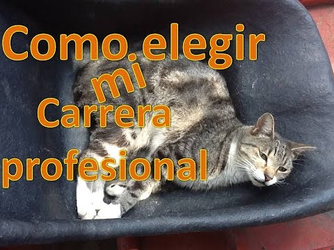 ¿Cómo Puedo Decidir Mi Carrera Profesional?