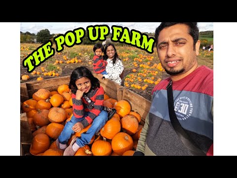 Explore England (3) - The Pop Up Farm, St. Albans