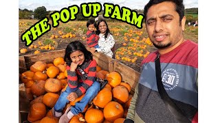 Explore England (3) - The Pop Up Farm, St. Albans