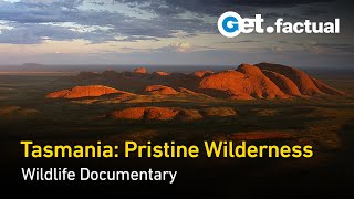 Tasmania: Remnants of Ancient Gondwana | Wildlife Documentary