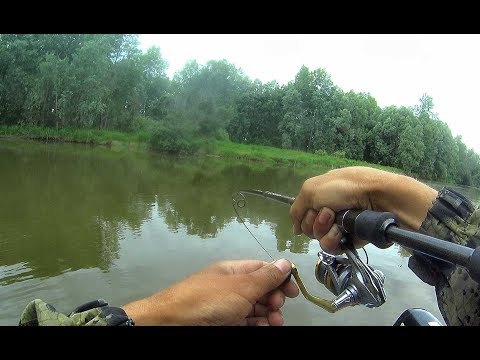 РЕБЯТА МЫ ПОПАЛИ НА СУДАКОВЫЙ ВЫХОД!!!Рыбалка на Оби 2019,судак на джиг, trofi fishing
