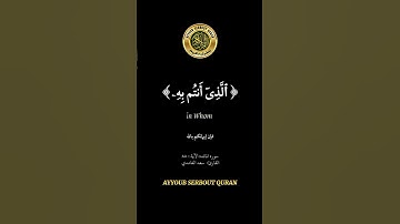 سورة المائدة الآية 88 تلاوة شيخ الغامدي #اكسبلور