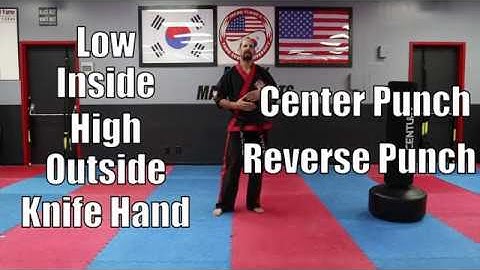 Basic Front Stance Hand Combination