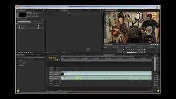 Adobe Encore and Premiere Pro CS4