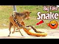 Big fake snake vs prank dog sleeping so funny  new prank dog 2021 try to stop laugh
