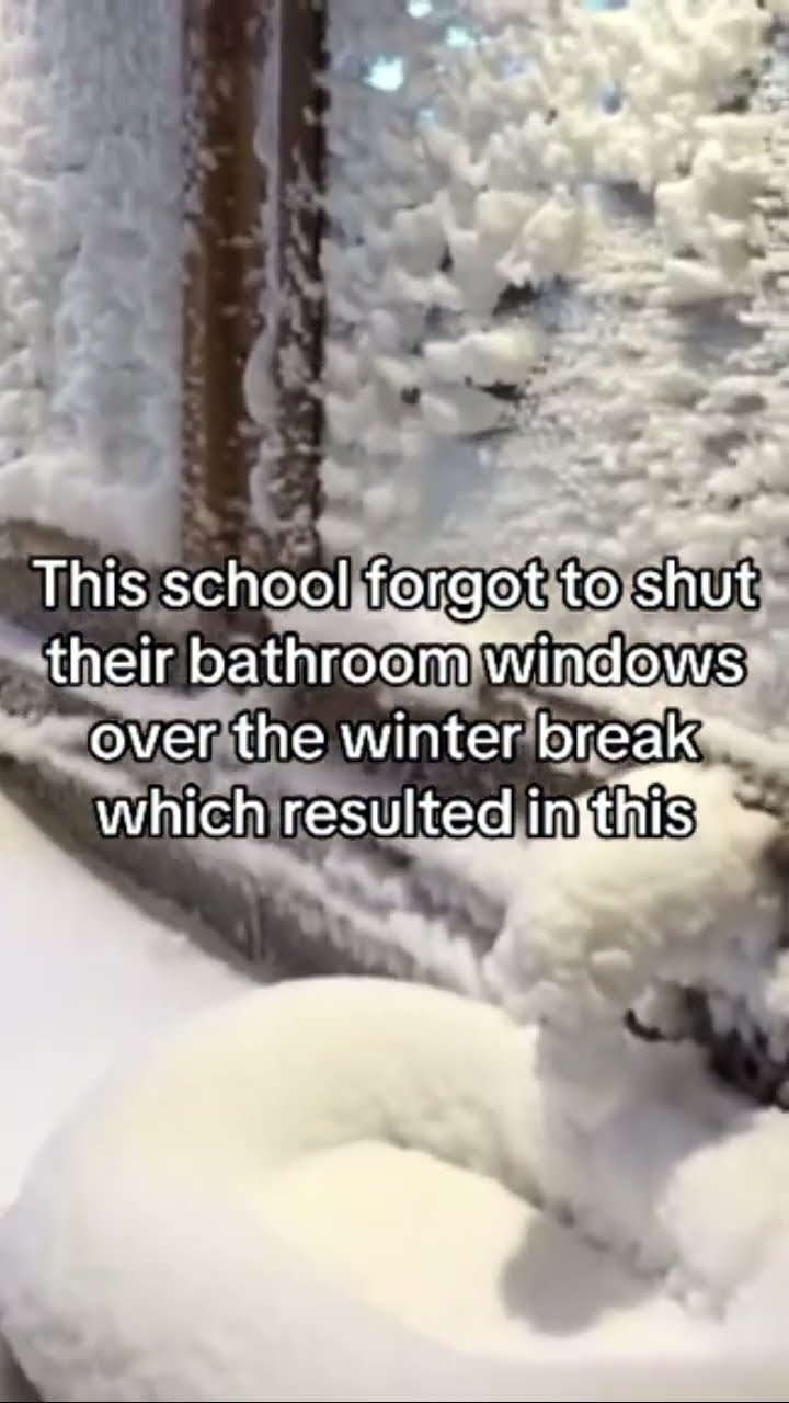 The school wilding out when they heard that new prvnci