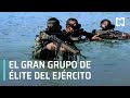 El impresionante grupo de élite del Ejército Mexicano que combate al crimen - Despierta