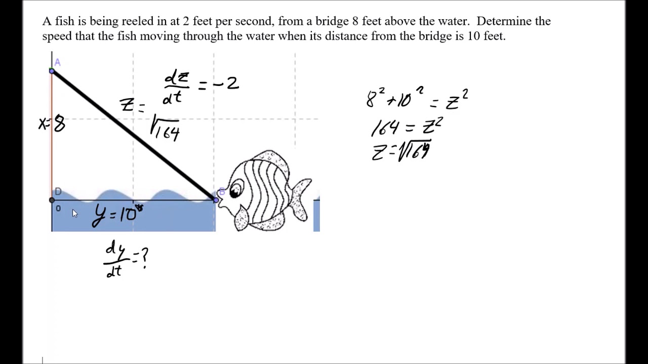 Calculus Fish Calculus Related Rates Reeling in Fish - YouTube
