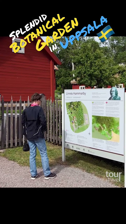 Beautiful Botanical Garden in amazing Uppsala - Sweden #shorts #uppsala #sweden #botanicalgarden