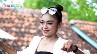 JOKO TINGKIR - SELIYA - ORGAN DESY PARASWATI GROUP PIMP: DESY.P || LIVE KLUWUT BREBES