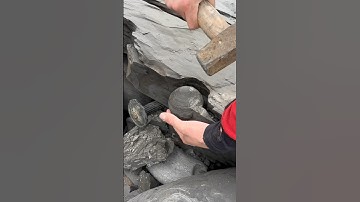 Finding ancient Jurassic age fossils on the beach #beach #fossil #ammonite #sea
