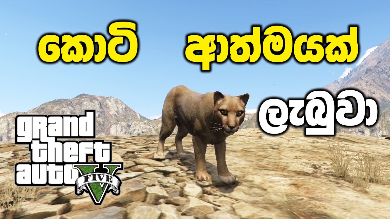 කඳු මුදුනේ තියෙන අභිරහස් පැළෑටිය කාලා කැලෑ කොටියෙක් වුණා | GTA V Sinhala Gameplay
