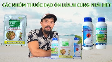 Các Nhóm Đạo Ôn Lúa 100% Ai Cũng Phải Biết- Kiến Thức Căn Bản Để Làm Ruộng-  Điền Râu Phân Tích.