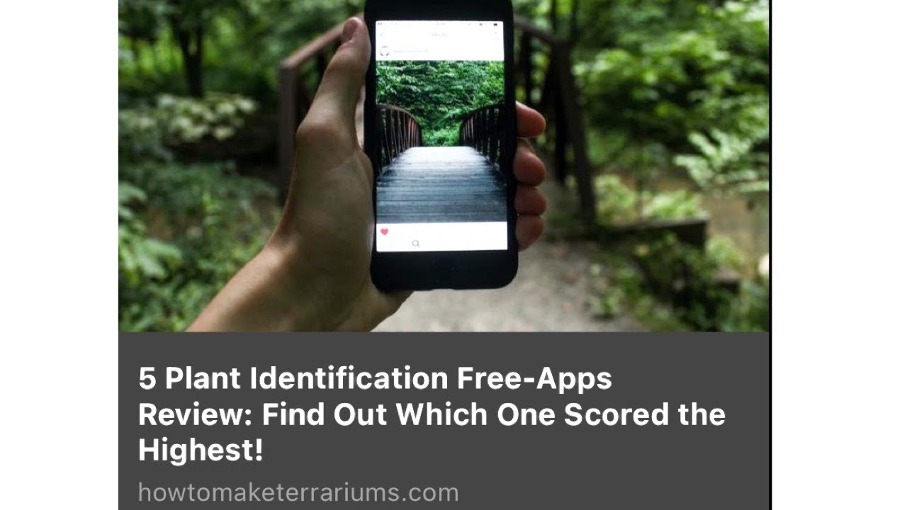 5 Free Plant IDs You Can Use— and Find Out Which One Scored The Highest