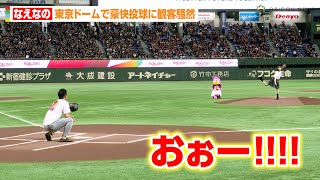 なえなの、東京ドームで豪快投球にどよめき！？ノーバンならず「悔しいです！」　『楽天スーパーナイターin 東京ドーム』東北楽天ゴールデンイーグルス対千葉ロッテマリーンズ戦セレモニアルピッチ