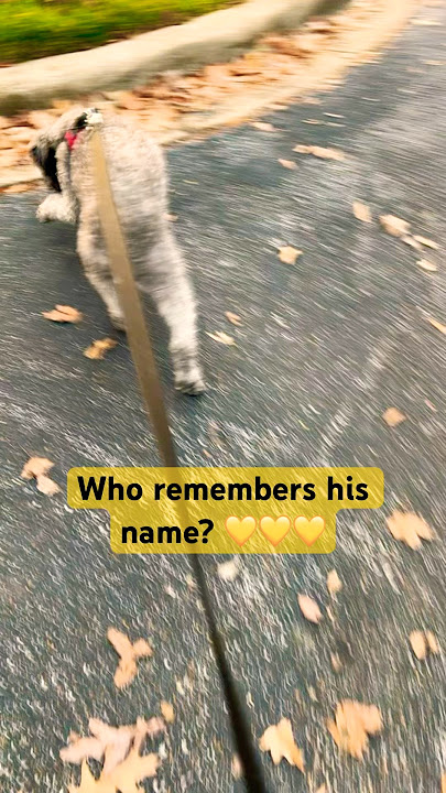 What’s his name? #shorts